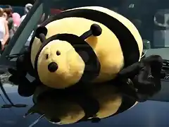 abeja gigante2