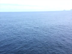 IMG_20170708_143836 IMG_20170708_143836