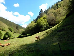 DSCN0798