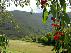 DSCN2164 DSCN2164