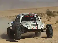 vw desert