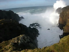 DSCN7596 DSCN7596