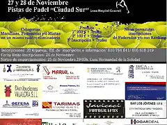 Cartel padel JPG