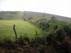 DSCN8350 DSCN8350