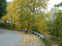 DSCN5836 DSCN5836