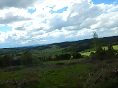 DSCN9310