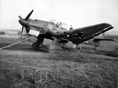 Junkers_Ju87_6_StG77