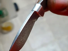 20190120_223614 20190120_223614