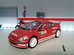 Peugeot 307 WRC 01