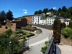 DSCN7737 DSCN7737