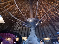 DSCN1392 DSCN1392
