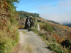 DSCN4464 DSCN4464