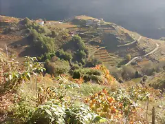 DSCN4466 DSCN4466