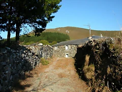 DSCN7934 DSCN7934