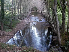 DSCN7918 DSCN7918