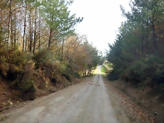 DSCN9395 DSCN9395