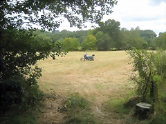 IMG_0409 IMG_0409