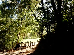 DSCN9164 DSCN9164