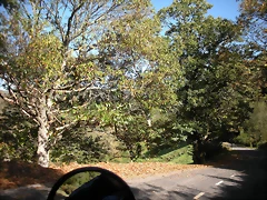 DSCN0082