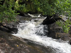 DSCN2821 DSCN2821