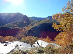 DSCN9154 DSCN9154