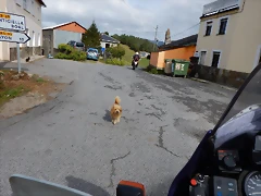 DSCN0367 DSCN0367