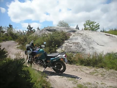 DSCN5323 DSCN5323