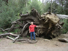 san martin de los andes 528 san martin de los andes 528
