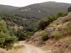 Pico Rayo desde subida Castillejo