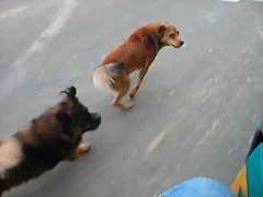 DSCN5332 DSCN5332