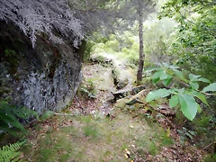 DSCN1367 DSCN1367