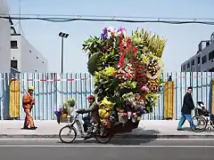 transporte-extremo-bicicleta-06