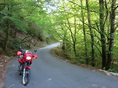IMG_8605