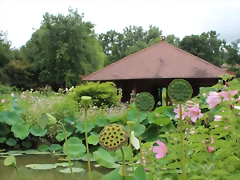 IMG_3353 IMG_3353