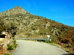 DSCN4031 DSCN4031