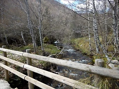 DSCN9616 DSCN9616