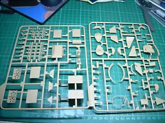 DSCN3528 DSCN3528