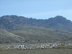 DSCF2088 DSCF2088