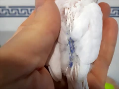 20190518_142048 20190518_142048