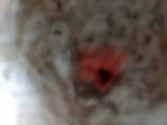 IMG_20190609_091536 IMG_20190609_091536