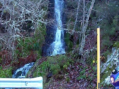DSCN5553 DSCN5553