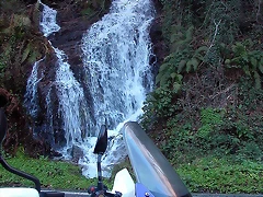 DSCN5595 DSCN5595