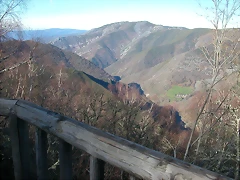 DSCN5556 DSCN5556