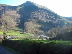DSCN5591 DSCN5591