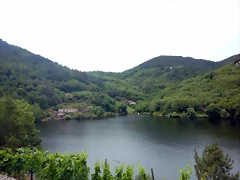 DSCN3464 DSCN3464