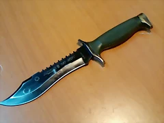 Oso Negro 1