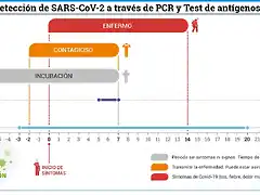 Periodo-de-detecci?n-de-SARS-CoV-2-a-trav?s-de-PCR-y-Test-de-ant?genos