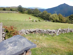 DSCN7041 DSCN7041
