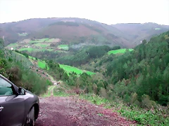 DSCN6303 DSCN6303