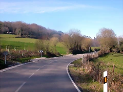 DSCN8131